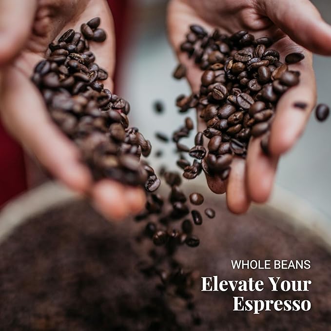 Caffe Vergnano 1882 Gran Aroma Whole Bean Arabica Medium Espresso Roast Coffee, 1.1lbs Bag - Italian Coffee Beans with Rich notes of Cocoa, Spices & Dried Fruit, Intensity 8/10-500g Bag