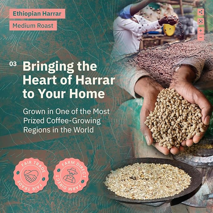 Kochere Ethiopian Harrar Whole Bean Coffee – 2LB Medium Roast – Fresh Roasted to Order – Single Origin, Farm Direct, Rich Flavored Coffee Beans – Chocolate & Fruity Notes