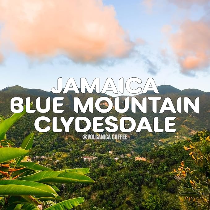 Jamaica Blue Mountain Coffee, 100% Pure, Ground Coffee, Fresh Roasted, 16-ounce