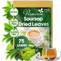 FreshDrinkUS, 75+ Premium Soursop Graviola Dried Leaves Tea, Natural Whole Leaves, Wildcrafted, Hoja De Guanabana, Soursop/Guanabana/Graviola Tea, No Sugar/Gluten/Caffeine/Non GMO, Vegan