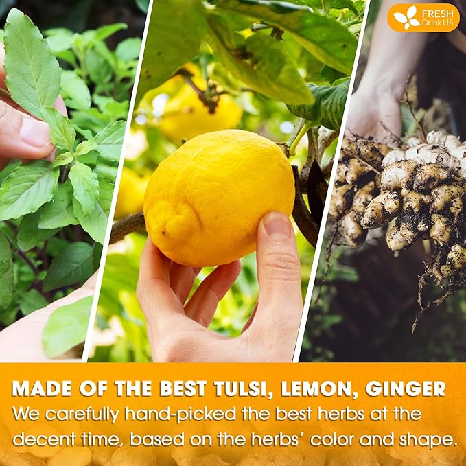 FreshDrinkUS, Premium 135 Tulsi Lemon Ginger Tea Bags, 100% Natural & Pure from Tulsi Holy Basil Leaves, Lemon and Ginger. Made with Natural Material Tea Bags. No Sugar, No Caffeine, Vegan.