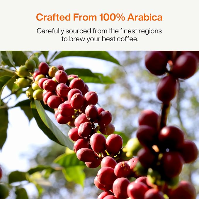 SATURNBIRD Coffee Instant Cold Brew, Light Roast, Bright & Fruity Blend of 100% Specialty Arabica, Enjoy Hot or Cold, Freeze Dried Iced Coffee, 24 Single Servings for Home, Travel, Office (NO.1)