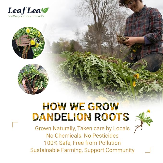 LeafLea 120 Dandelion Root Tea Bags, Dandelion Tea Promotes Healthy Digestion & Immune Function, 100% Natural and Pure from Dandelion Root Herbal Tea, Caffeine-Free, Sugar-Free, Vegan, Pack of 3