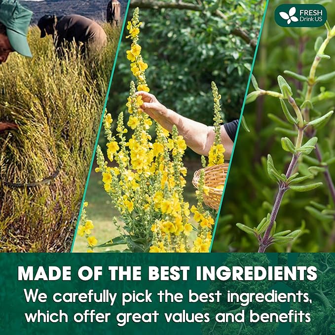 FreshDrinkUS, StrongerLungs 40 Tea Bags - Mullein Leaf, Ginseng, Elderberry, Ginger & Thyme - Supports Lung Cleanse, Congestion Relief & Mucus Detox - Caffeine-Free & All-Natural