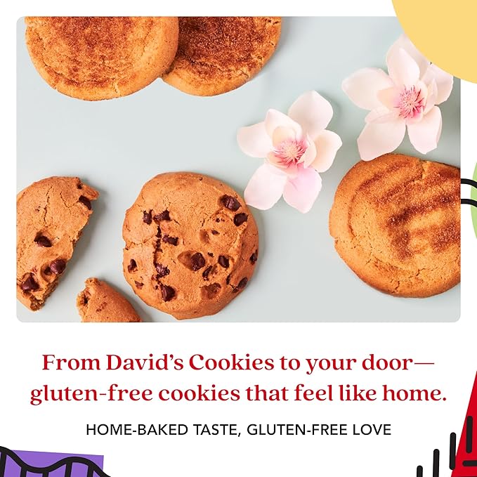 David's Cookies Gluten-Free Cookies Gift in Sweet Sampler Tin – Chocolate Chip & Snickerdoodle Cookies – Gourmet Bakery Treats – Soft & Chewy, Premium Dessert Gift for Birthdays & Special Occasions