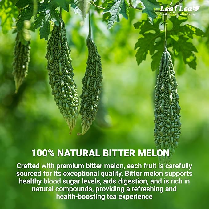 LeafLea 80 Bitter Melon Tea Bags, Premium Dried Momordica Charantia (Melon Amargo, Gohyah) Herbal Fruit Tea | Supports Wellness and Digestion | Caffeine-Free, Sugar-Free, Vegan, Pack of 2