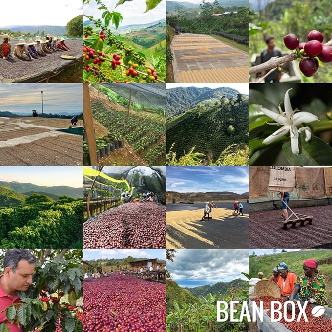 Juggernaut Espresso Blend - Roasted by Perc Coffee - Whole Bean Coffee - 12 Ounce Bag