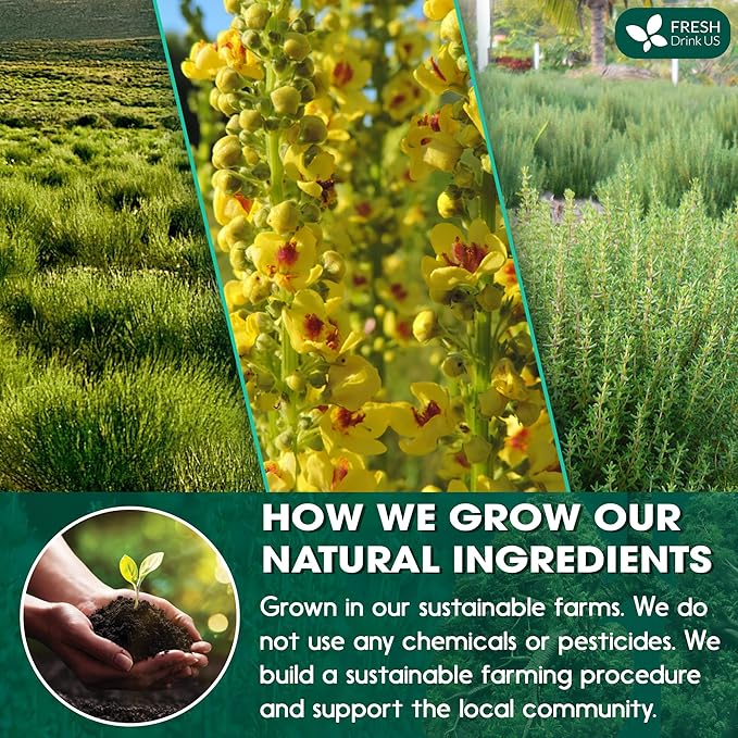 FreshDrinkUS, StrongerLungs 40 Tea Bags - Mullein Leaf, Ginseng, Elderberry, Ginger & Thyme - Supports Lung Cleanse, Congestion Relief & Mucus Detox - Caffeine-Free & All-Natural