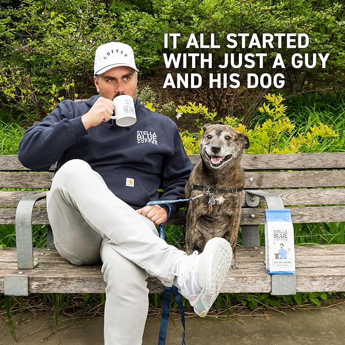 Stella Blue Espresso Caffe Mocha, 100% Colombian Coffee, 190mg Natural Caffeine, Good Source of Protein, Ready-to-Drink Coffee Energy Beverage, 11oz Can, 12 Pack