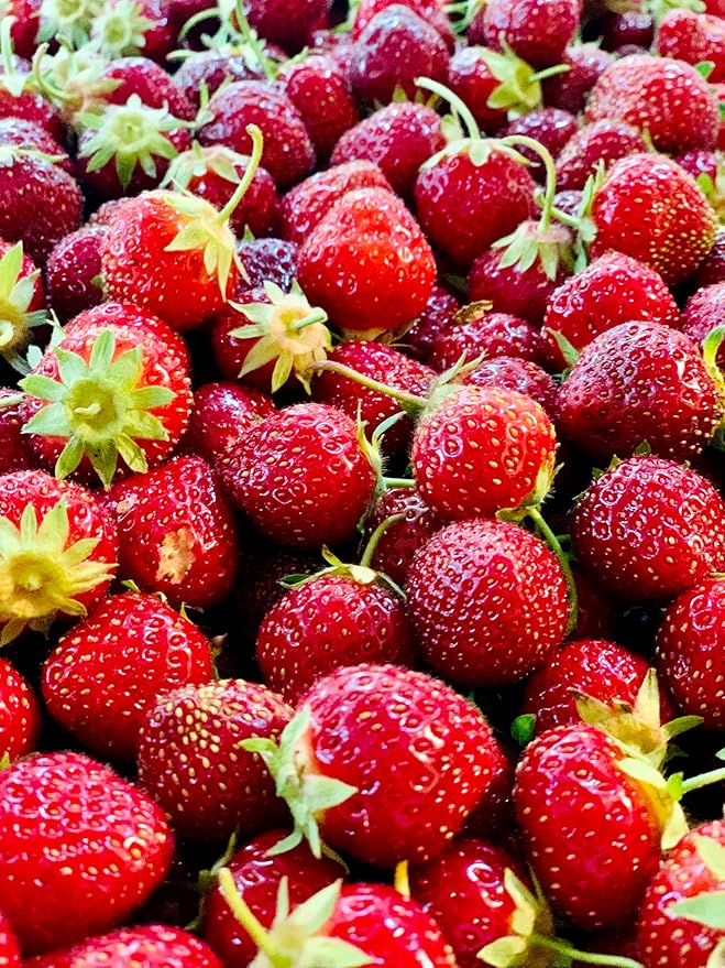 Tree Juice Strawberry Maple Syrup | All Natural, Non GMO, Vegan, Gluten Free, Vegetarian, Paleo | 12 Ounce Bottle