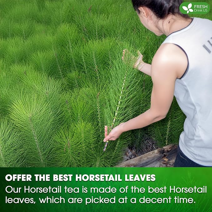 FreshDrinkUS, Premium 55 Horsetail Leaf Tea Bags, 100% Natural & Pure from Horsetail Loose Leaves Herbal Tea. Made with Natural Material Tea Bags. No Sugar, No Caffeine, No Gluten, Vegan.
