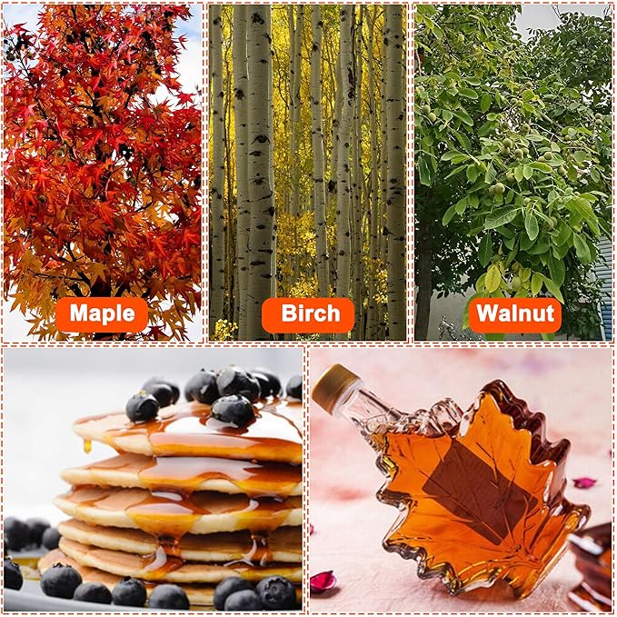 Maple Syrup Tree Tapping Kit with 120ft Reusable Food Grade Tubuing drop Lines extractors, 20 Pcs Maple Sap Taps, Maple Birch Walnut Sugaring Starter Supplies Collection Gift for Experts or Beginners