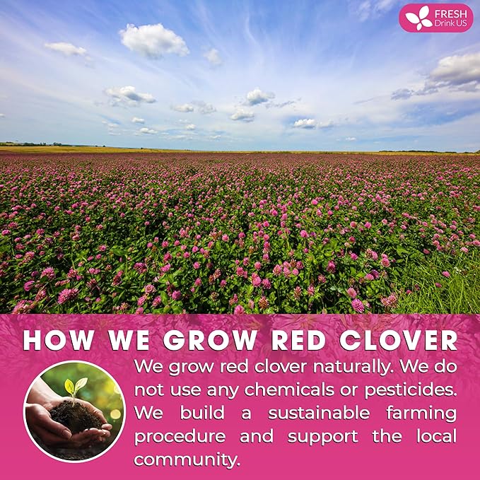 FreshDrinkUS, Premium Red Clover Herbal Tea– 35 Tea Bags – Pure – Naturally Smooth & Mild Flavor – Premium Quality, Eco-Conscious Packaging. Caffeine-Free. Gluten Free. Vegan