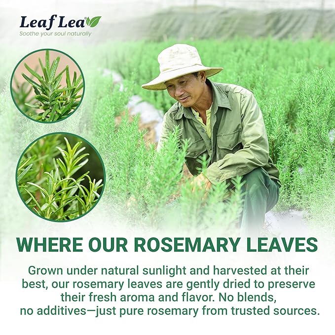 LeafLea 40 Premium Rosemary Tea Bags from 100% Natural Rosemary Leaves, Herbal Tea for Gentle Digestive Comfort, Te De Romero Earthy Taste & Light Aroma, Caffeine-Free, Sugar-Free, Non-GMO