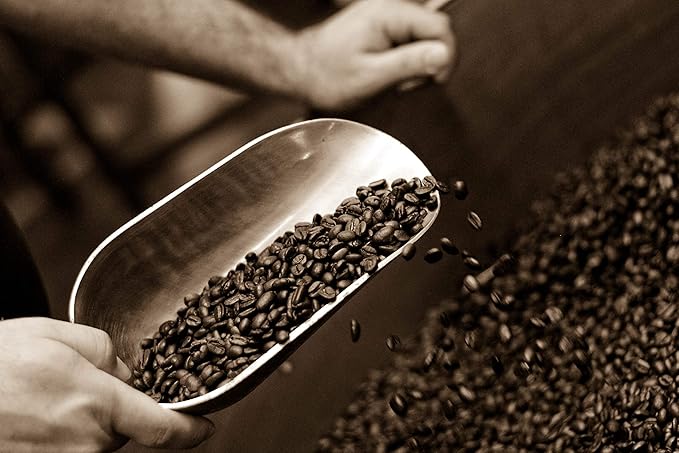 Caffe D'arte Fabriano Wood Roast Reserve Whole Bean Espresso Coffee, 12 Ounce