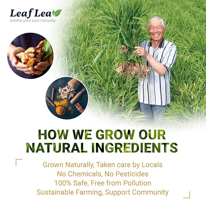 LeafLea 160 Ginger Turmeric Tea Bags, 100% Natural & Pure Herbal Tea Blend of Turmeric Ginger Tea with Cinnamon, Turmeric Tea Supports Digestion & Immunity, Caffeine-Free, No Sugar, Non-GMO