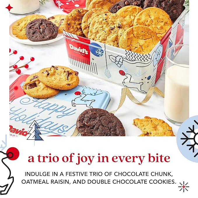 David’s Cookies Winter Wonderland Assorted Christmas Cookies Tin - Delicious Chocolate Chunk & Oatmeal Raisin Cookies - Fresh-baked and Homemade Cookies - Gourmet Holiday Food Gift Basket for Everyone
