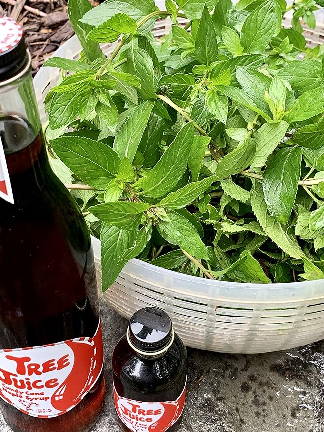 Tree Juice Peppermint Candy Cane Maple Syrup | 100% Pure Grade A Maple Syrup | All Natural, Non GMO, Vegan, Gluten Free, Vegetarian, Paleo | 12 Ounce Bottle