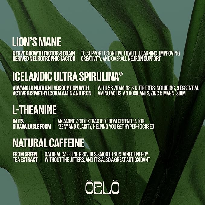ORLO BRAIN PERFORMANCE BAR – Vegan Protein Bars for Brain & Energy Support – Focus & Memory, Pre & Post Workout Recovery – Gluten Free Snack with L-Theanine, Lions Mane, Spirulina & More (SINGLE BAR)