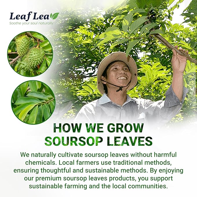 LeafLea 120 Soursop Tea Bags, from 100% Natural Pure Soursop Graviola Leaves, Improve Digestion, Support Healthy Skin & Sleep, Herbal Tea Caffeine-free, Hojas De Guanabana Tea, Non-GMO, Pack of 3
