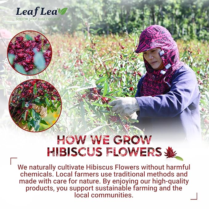 LeafLea 120 Hibiscus Tea Bags, 100% Pure Natural Hibiscus Flowers Herbal Tea, Natural Red Hibiscus Flower Tea, Te de Hibisco, Caffeine-Free, No Sugar, Vegan, Non-GMO, Rich in Flavor & Color, Pack of 3