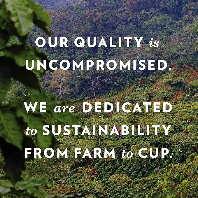 Community Coffee Christmas Blend Ground Coffee, Medium Roast, 12 oz Bag (Pack of 6)